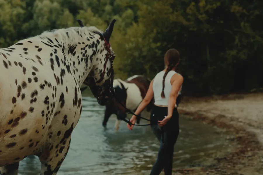 Filmstill aus dem Imagefilm des Simmehofs: Reiterin mit Tigerschecke am Wasser